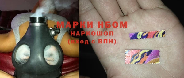 прущие грибы Арсеньев