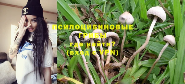 прущие крисы Армянск