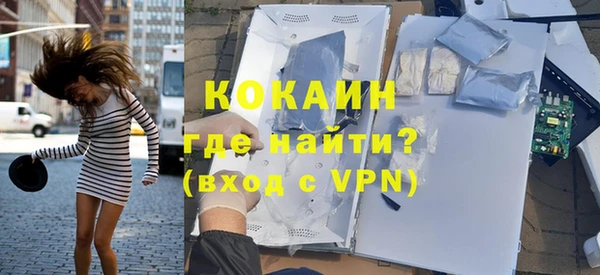 прущие грибы Арсеньев