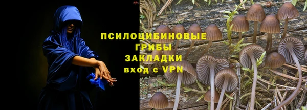 прущие крисы Армянск