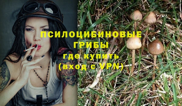 прущие грибы Арсеньев