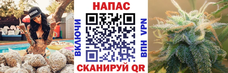 OMG рабочий сайт  Юрьев-Польский  Конопля THC 21%  как найти наркотики 
